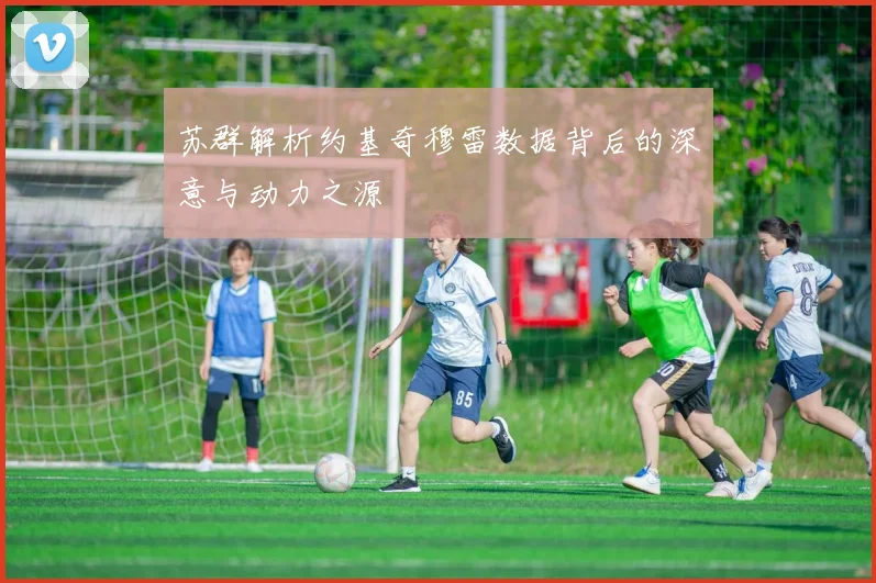 苏群解析约基奇穆雷数据背后的深意与动力之源