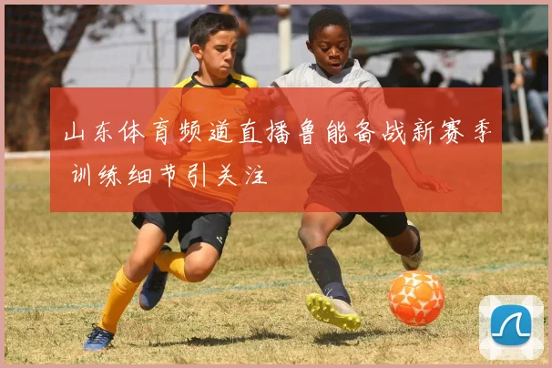山东体育频道直播鲁能备战新赛季 训练细节引关注