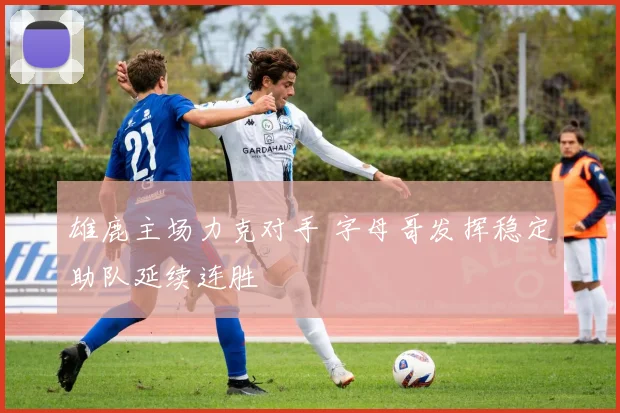 雄鹿主场力克对手 字母哥发挥稳定助队延续连胜