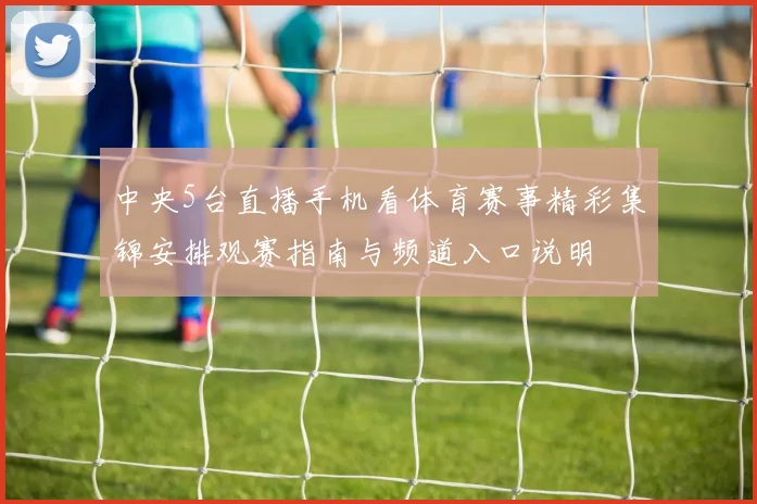 中央5台直播手机看体育赛事精彩集锦安排观赛指南与频道入口说明
