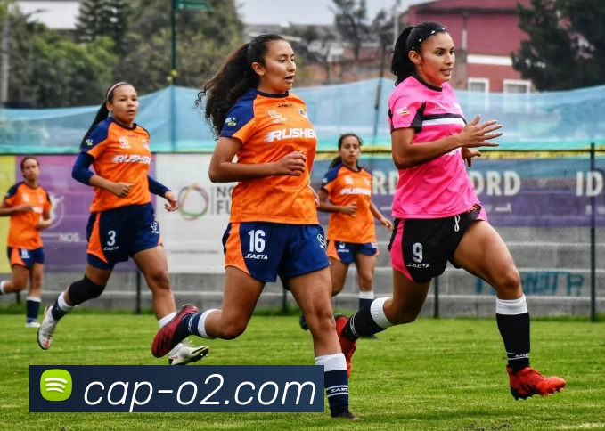 米兰体育平台官网APP 高清赛事图